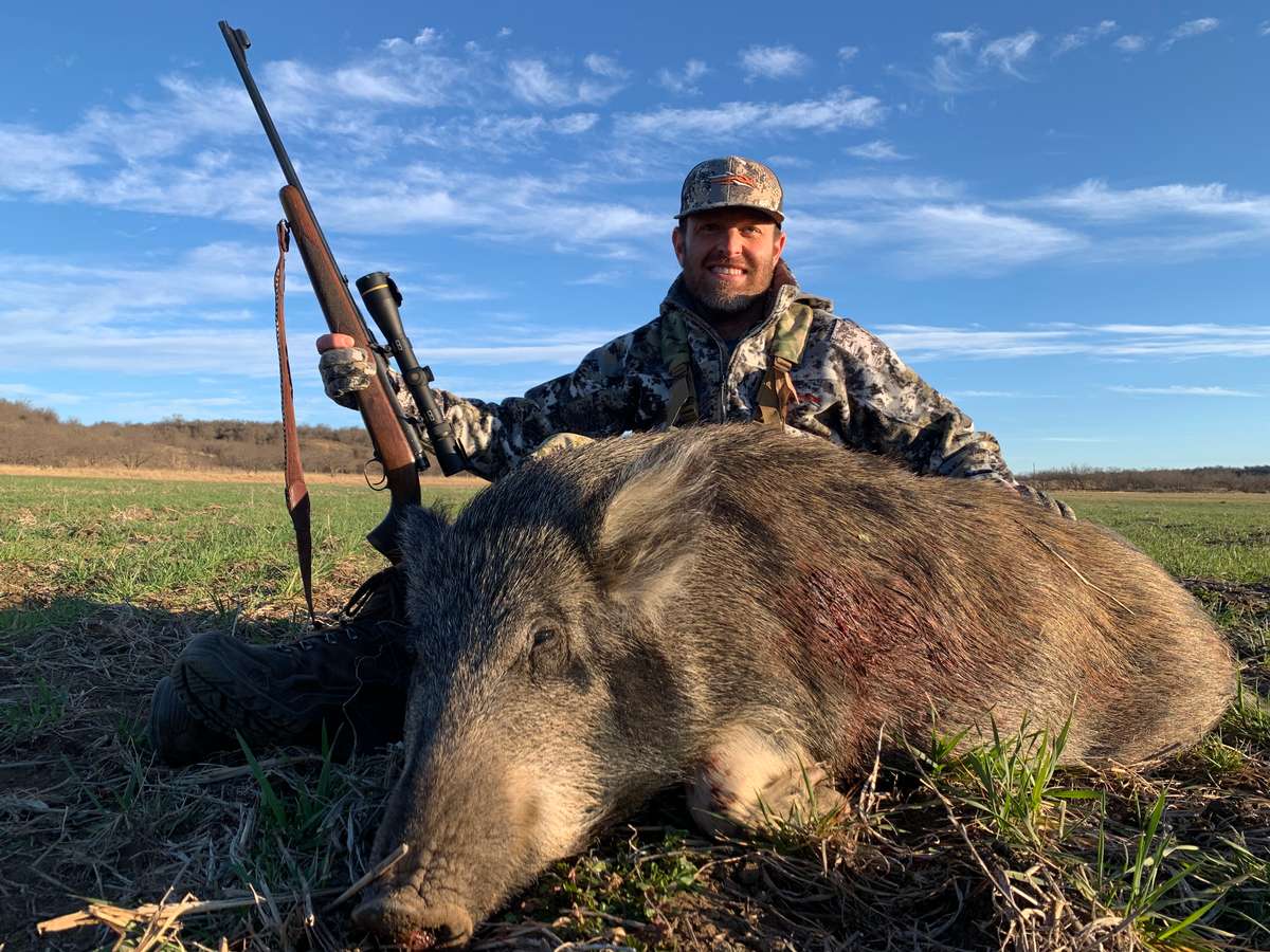 Hog Hunts Wild hog hunted in Texas with First Shot Outfitters