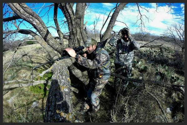 Not Just Quail Anymore Texas Quail Hunting Outfitter