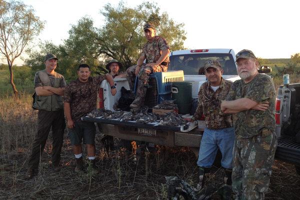 Texas Dove Hunts Texas Dove Hunting Outfitter