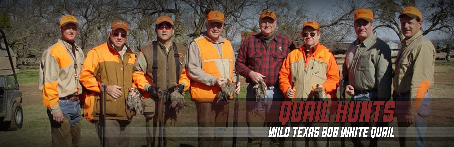 Texas Quail Hunting At Its Finest Texas Quail Hunting At Its Finest