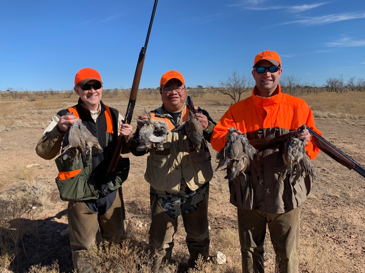 Wild Quail Hunting Packages Wild Quail Hunts Texas