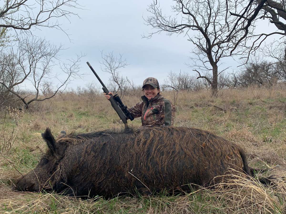Wild Hog Hunting Packages All Inclusive Hog Hunts in Texas